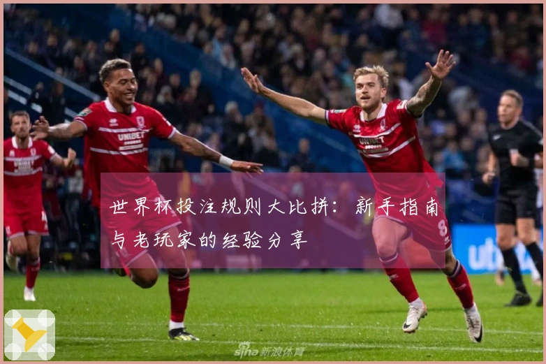 世界杯投注规则大比拼：新手指南与老玩家的经验分享