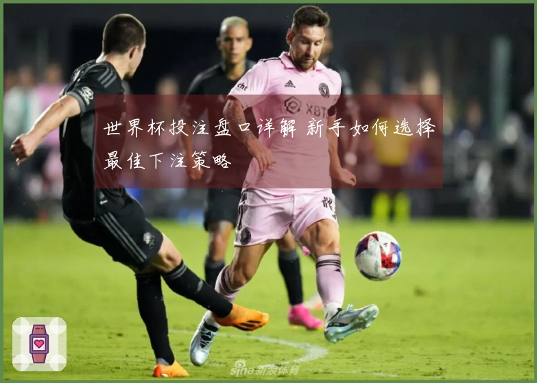 世界杯投注盘口详解 新手如何选择最佳下注策略