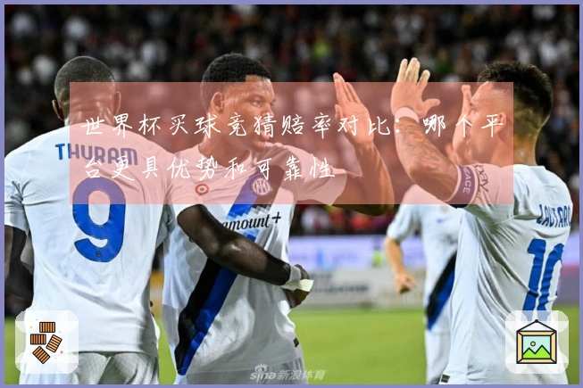 世界杯买球竞猜赔率对比：哪个平台更具优势和可靠性