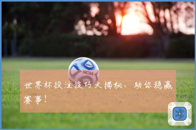 世界杯投注技巧大揭秘，助你稳赢赛事！