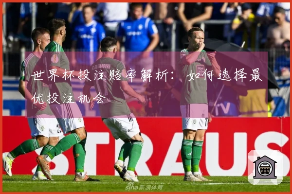 世界杯投注赔率解析：如何选择最优投注机会